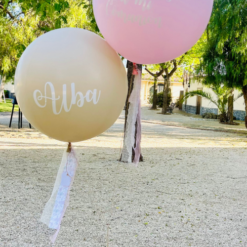 Globos Bienvenida